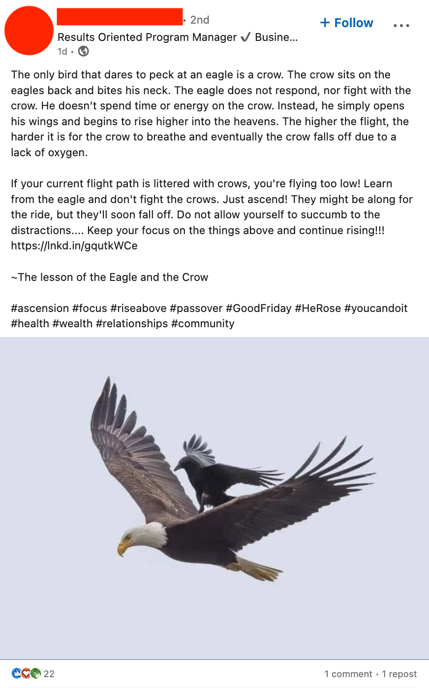 A screenshot of a LinkedIn post, with an image of an eagle attacking a crow. The text reads: The only bird that dares to peck at an eagle is a crow. The crow sits on the eagles back and bites his neck. The eagle does not respond, nor fight with the crow. He doesn’t spend time or energy on the crow. Instead, he simply opens his wings and begins to rise higher into the heavens. The higher the flight, the harder it is for the crow to breathe and eventually the crow falls off due to a lack of oxygen.  If your current flight path is littered with crows, you're flying too low! Learn from the eagle and don't fight the crows. Just ascend! They might be along for the ride, but they'll soon fall off. Do not allow yourself to succumb to the distractions.... Keep your focus on the things above and continue rising!!! https://lnkd.in/gqutkWCe  ~The lesson of the Eagle and the Crow  #ascension #focus #riseabove #passover #GoodFriday #HeRose #youcandoit #health #wealth #relationships #community 
