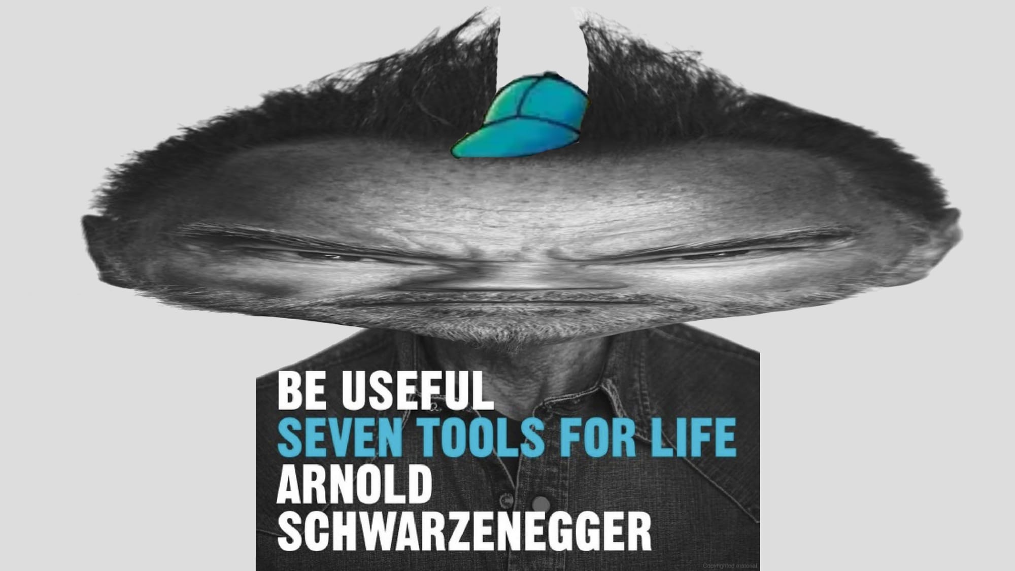 A picture of Arnold Schwarzenegger from the cover of Arnold Schwarzenegger's book "Be Useful: Seven Tools for Life" 