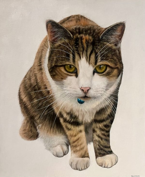 A picture I painted of my cat