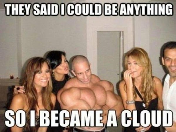 A macro meme image of a muscular yet curvaceous man with the caption "They said I could be anything, so I became a cloud"